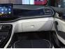 BYD Qin Plus EV 2021 Luxury Edition (500km) - цена, описание и параметры