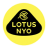 Электромобили Lotus